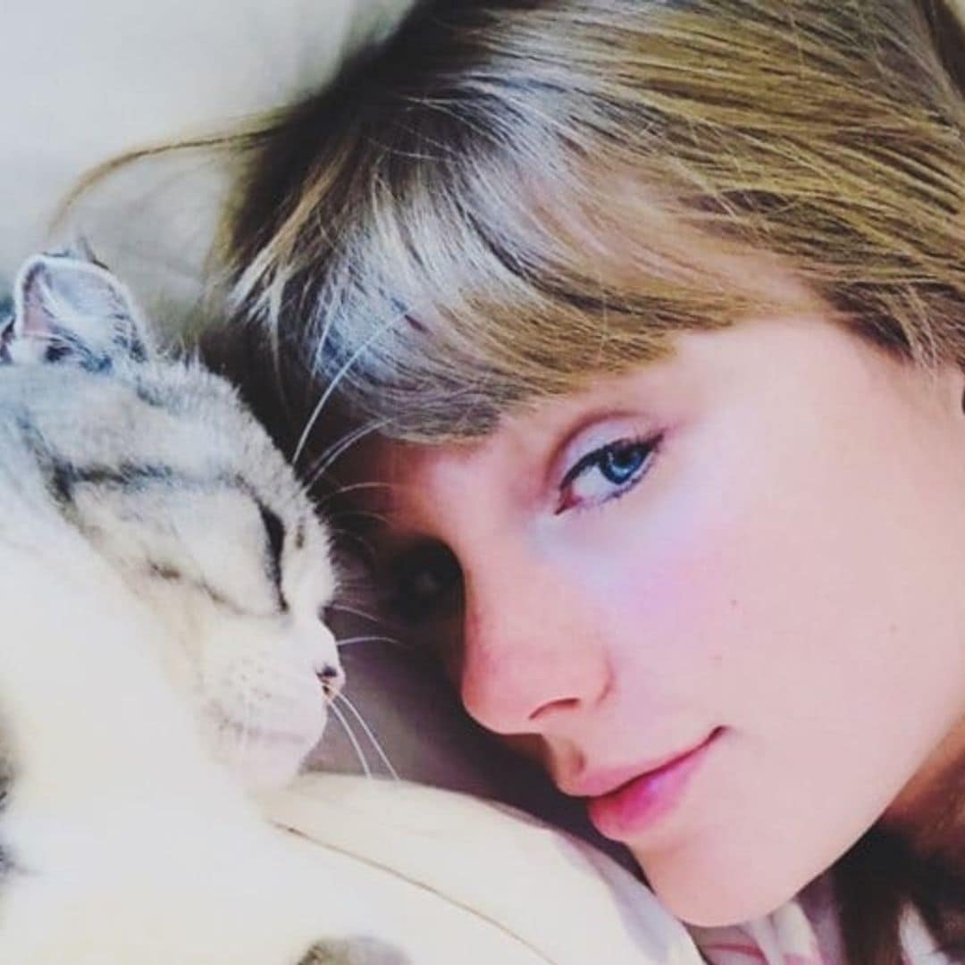 Is Taylor Swift releasing a new album and merchandise this week?