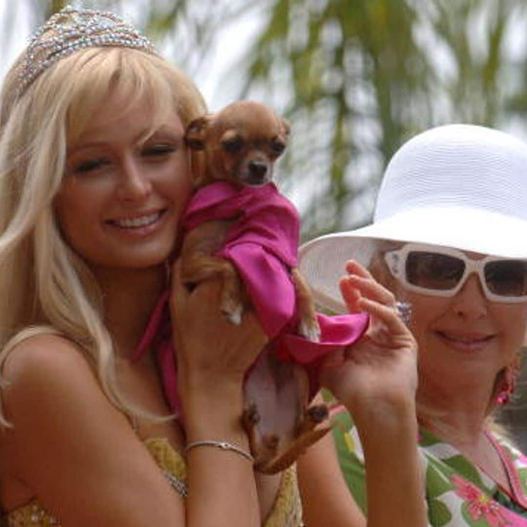 Paris Hilton heartbroken as pet dog Tinkerbell dies