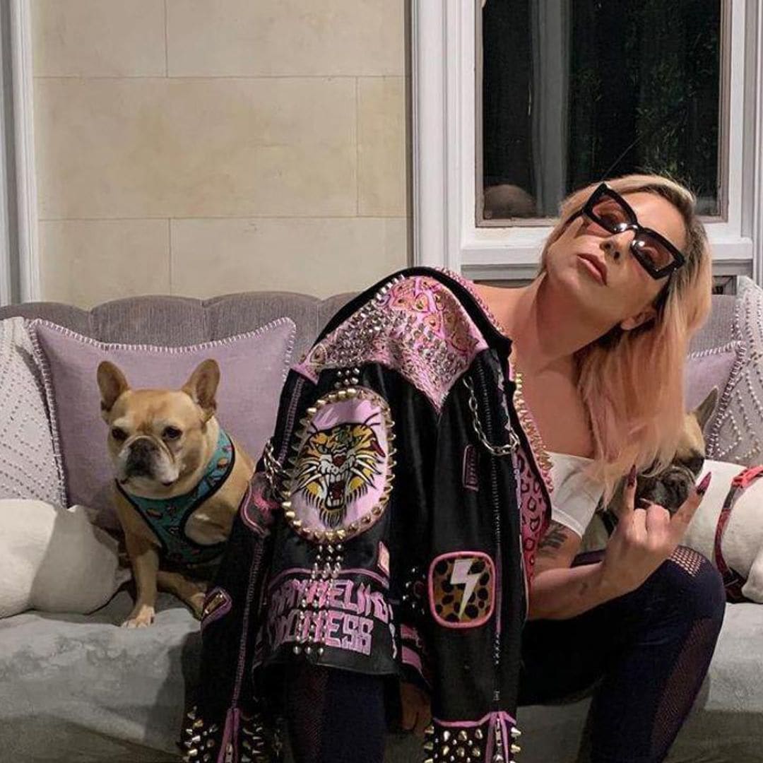 Lady Gaga sued by woman involved in her dognapping, seeking reward and other damages