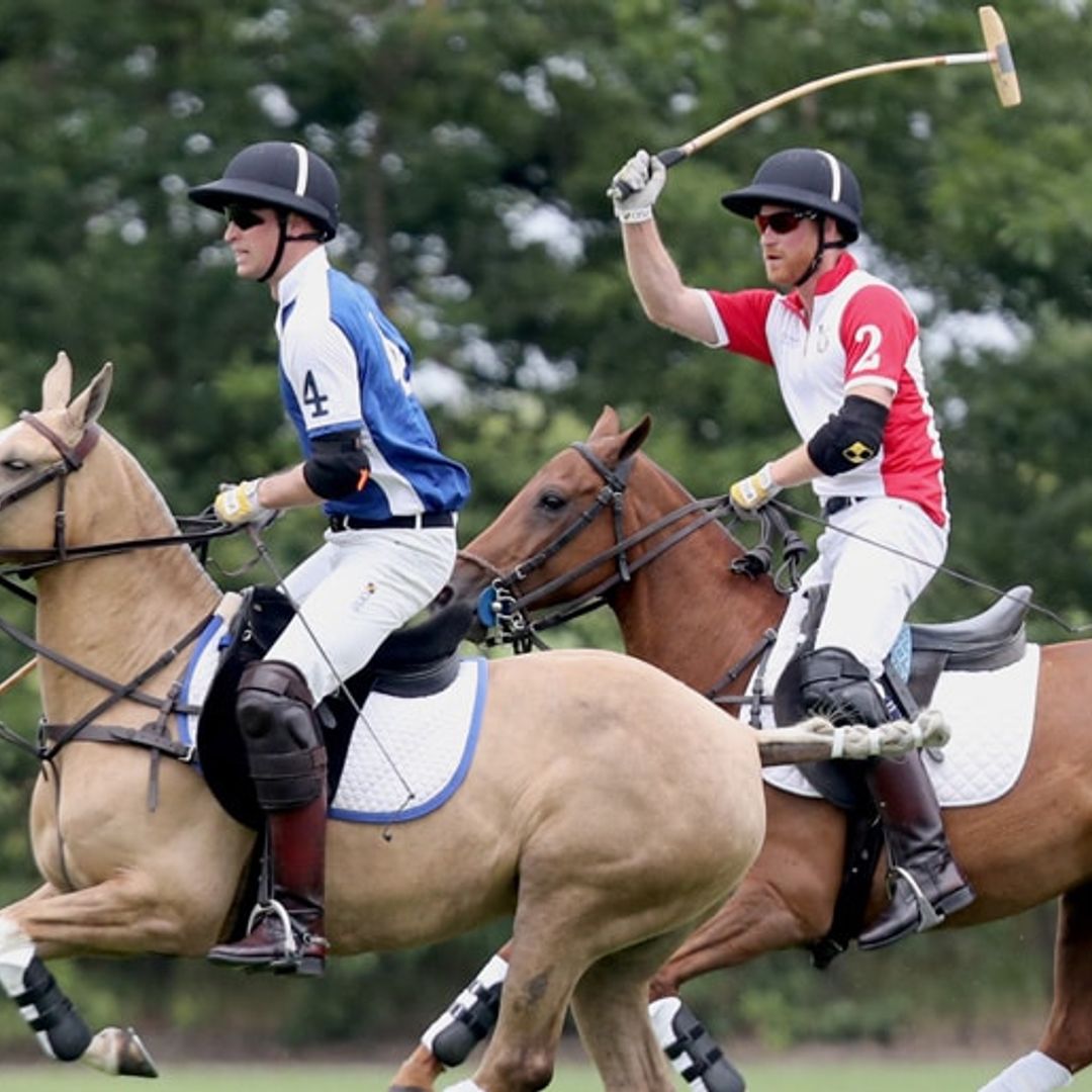 Brother vs. Brother: Find out if William or Harry won the polo match