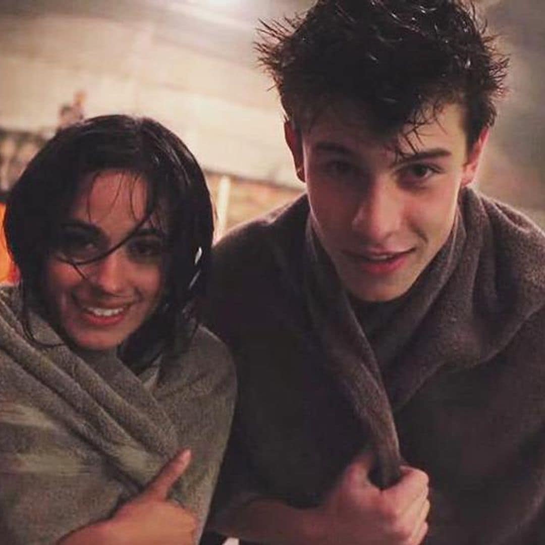 Camila Cabello and Shawn Mendes are not dating, but their friendship is picture-perfect