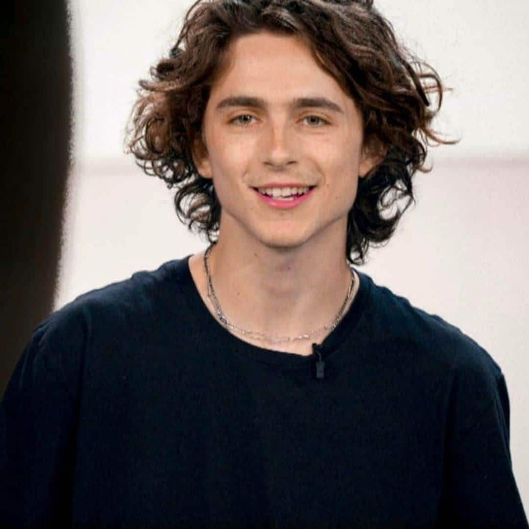 Timothée Chalamet reveals why he decided to participate in mainstream films