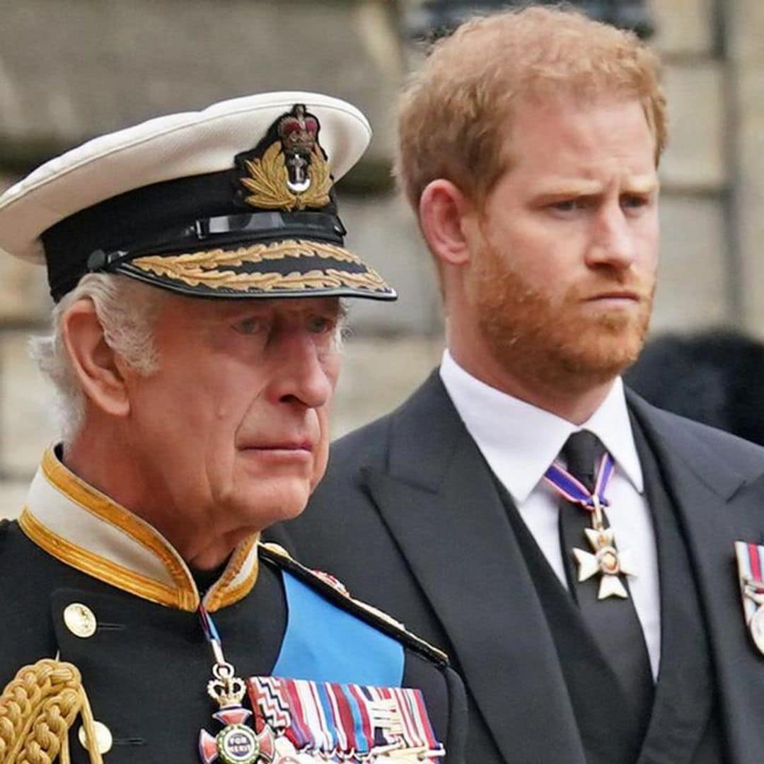 King Charles takes over one of son Prince Harry’s former roles