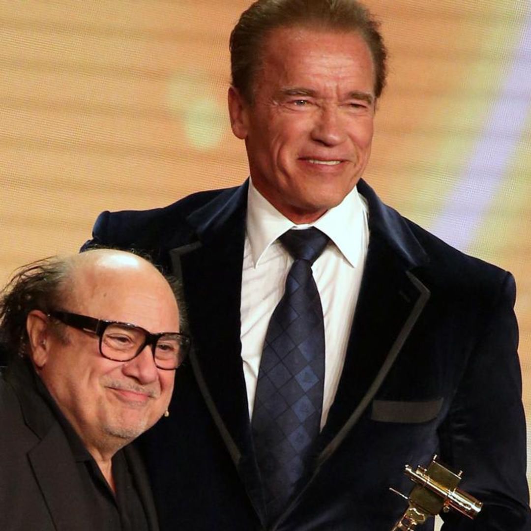 Danny DeVito says he and Arnold Schwarzenegger are teaming up for a project