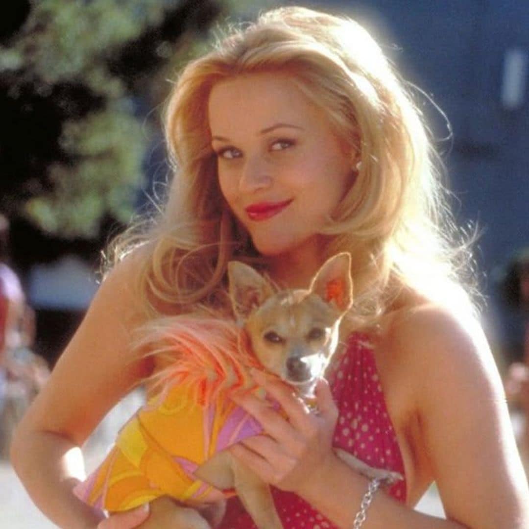 Reese Witherspoon and Selma Blair celebrate Legally Blonde’s 20th anniversary with rare behind the scenes pics