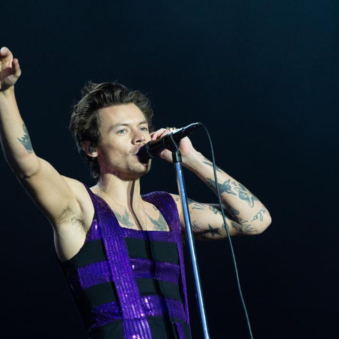 Harry Styles helps a fan ‘come out’ during one of his concerts