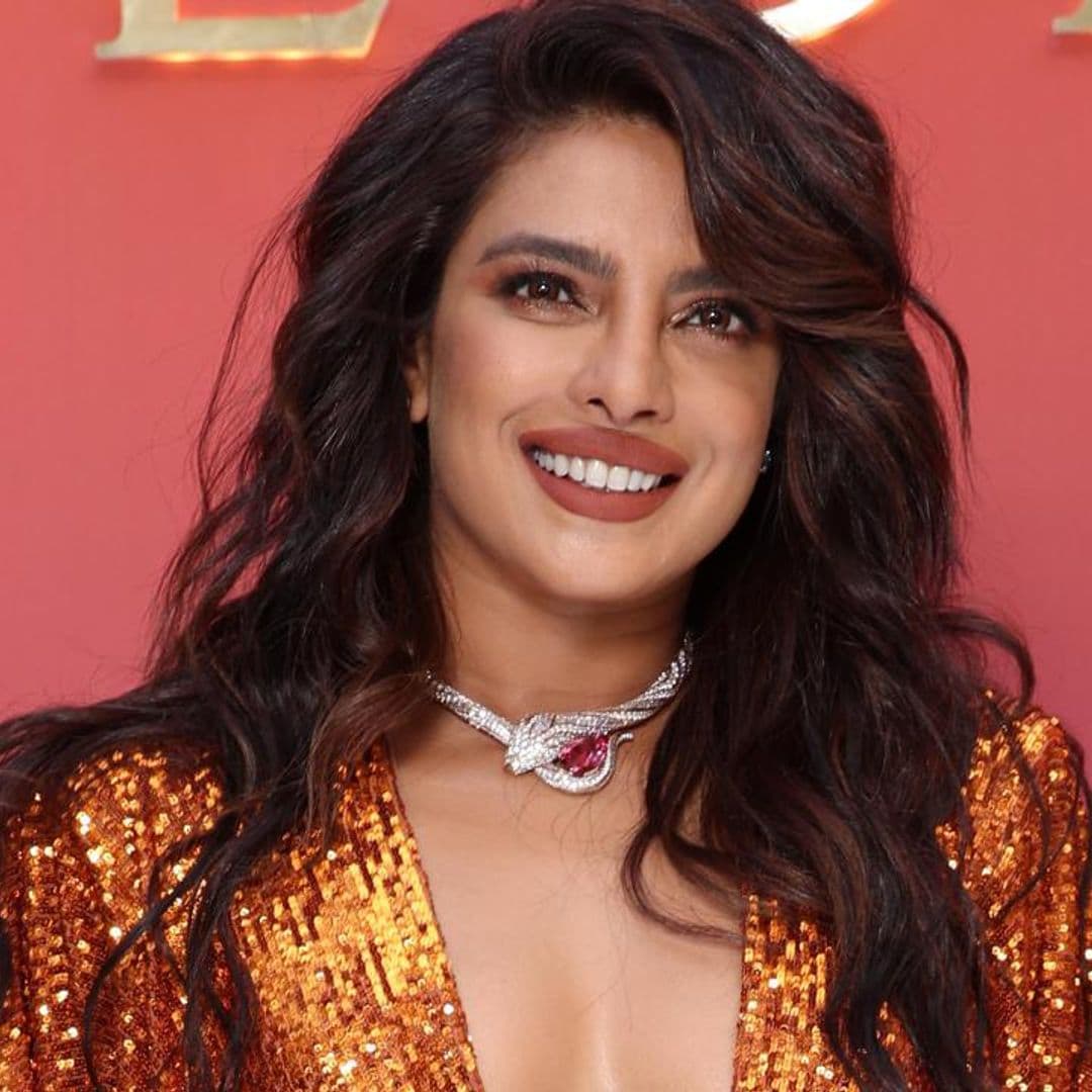 Priyanka Chopra says ‘There is nothing more powerful than a mother’s instinct to protect her own’