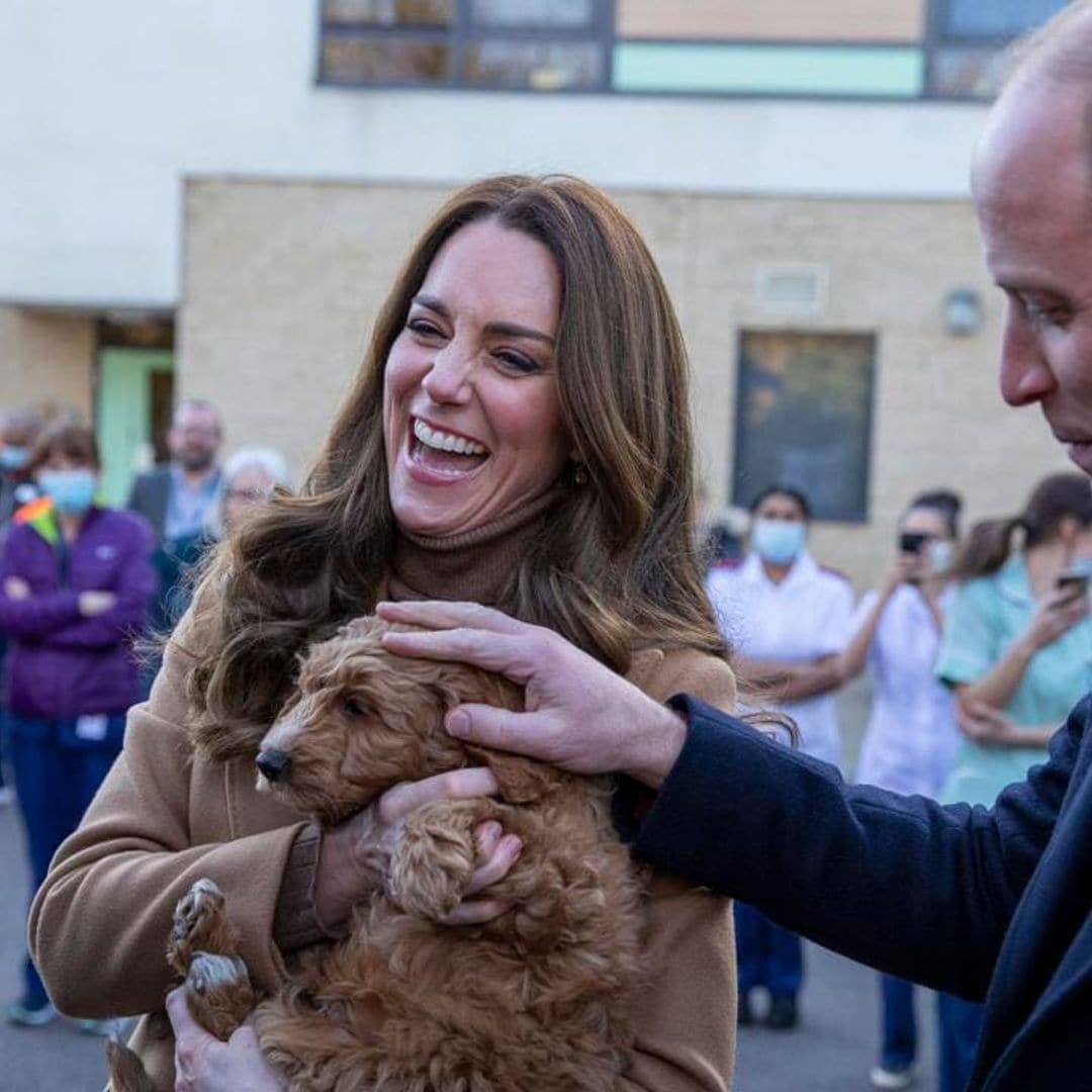 These photos of Prince William and Kate cuddling a puppy will bring a smile to your face