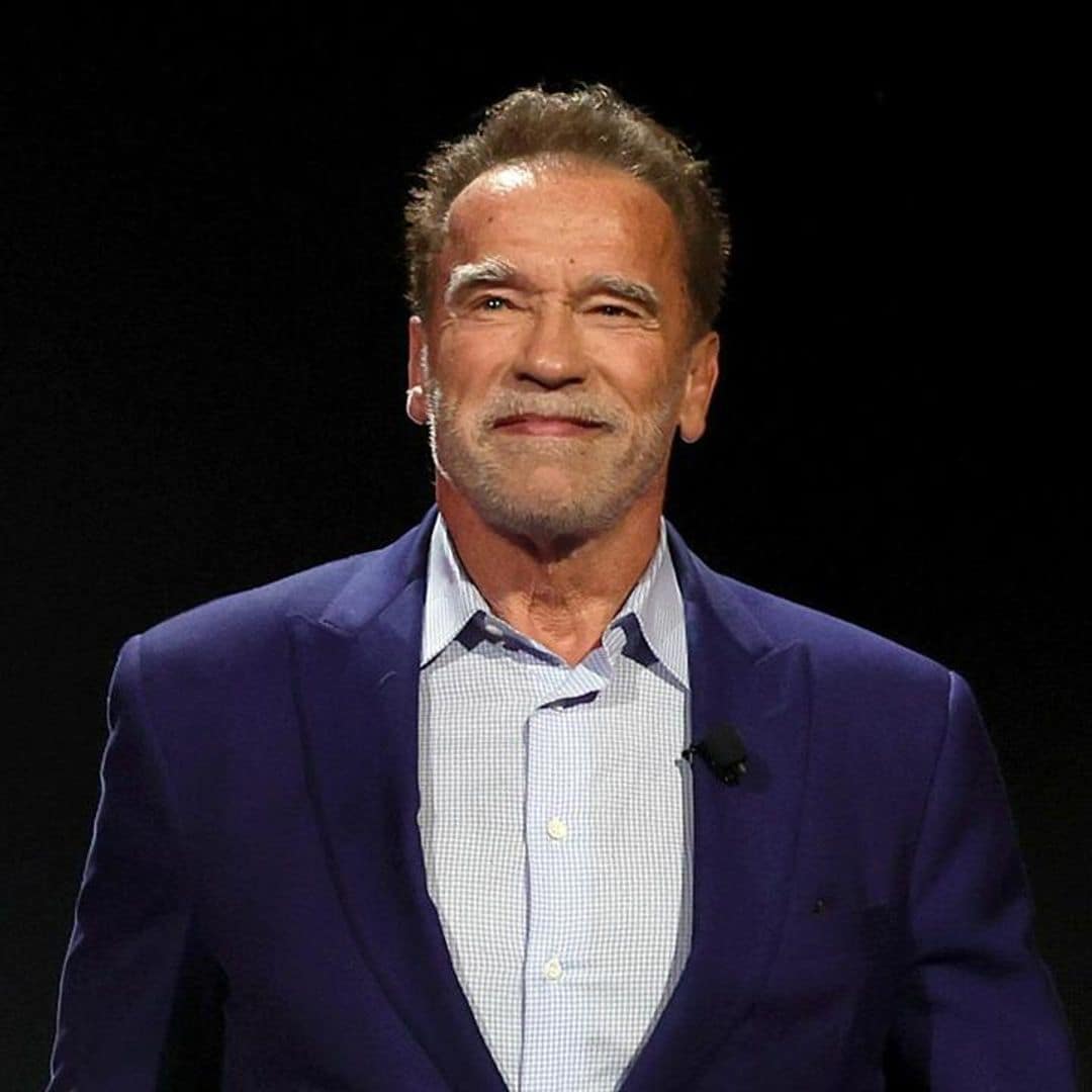 Arnold Schwarzenegger is back on a new Netflix series