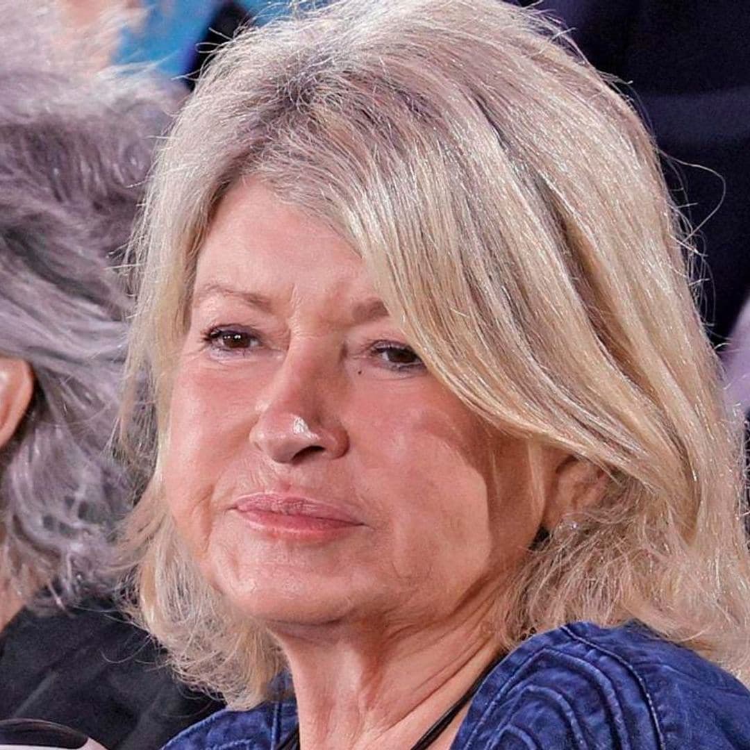 Martha Stewart mourns the death of her cat after her dogs mistakenly killed the pet