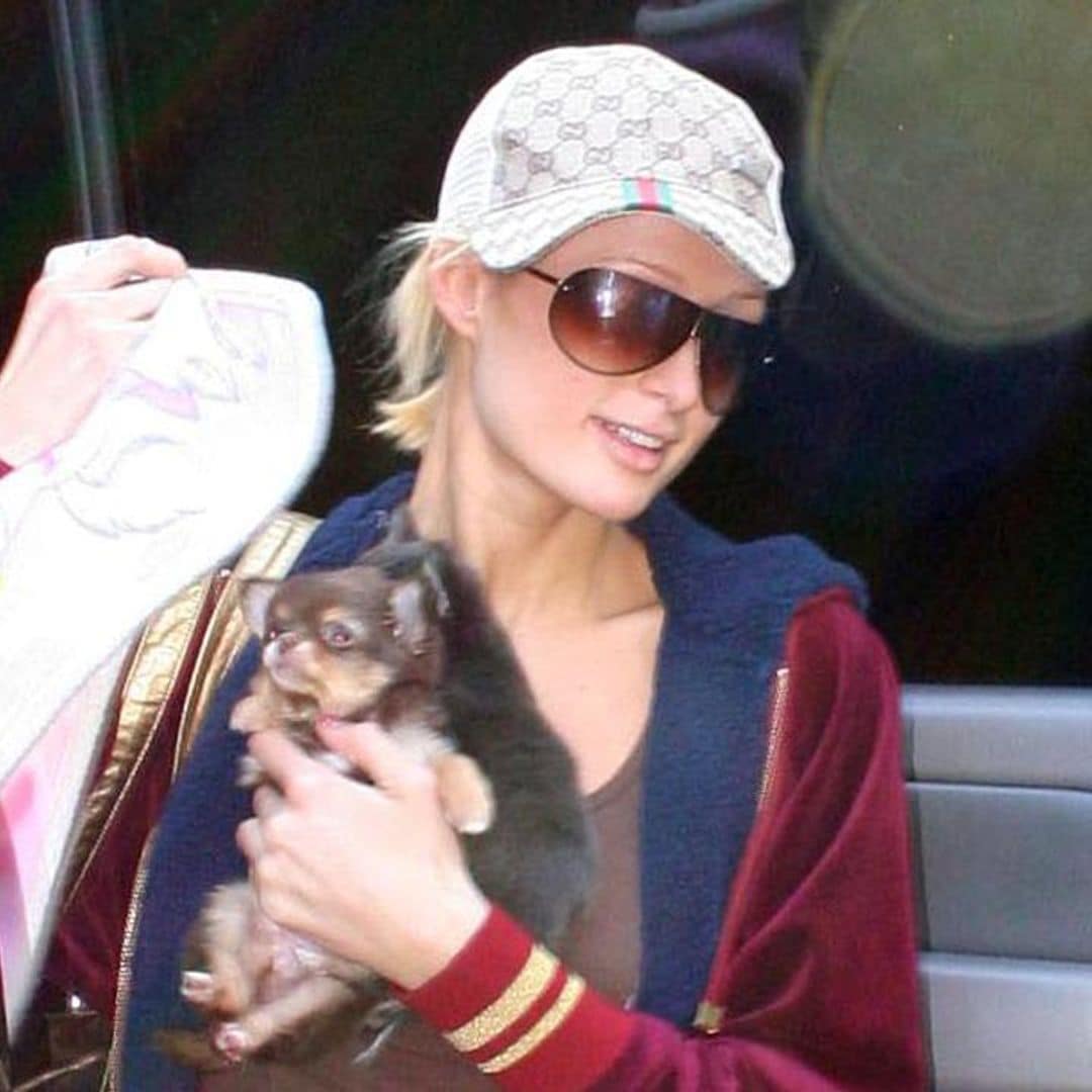 Paris Hilton mourns the loss of her 23-year-old chihuahua Harajuku