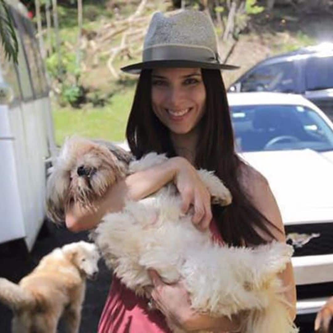 So cute! Roselyn Sanchez's rescue pup pals will make your day