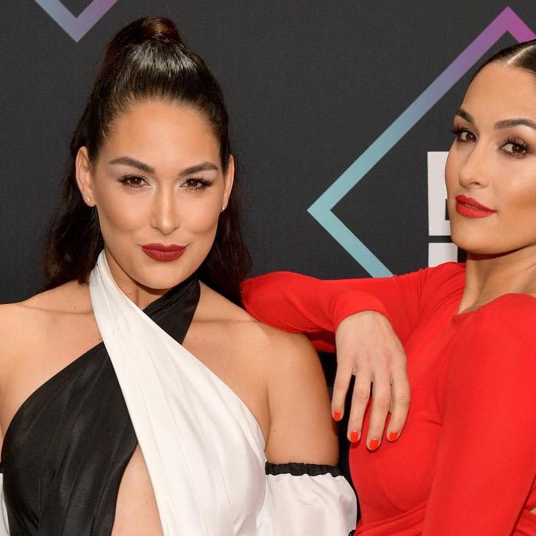 Twin sisters Nikki and Brie Bella are both pregnant - but did they plan it?