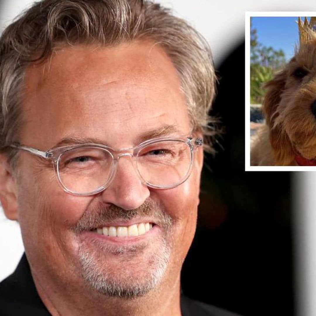 What will happen to Matthew Perry’s beloved dog Alfred?