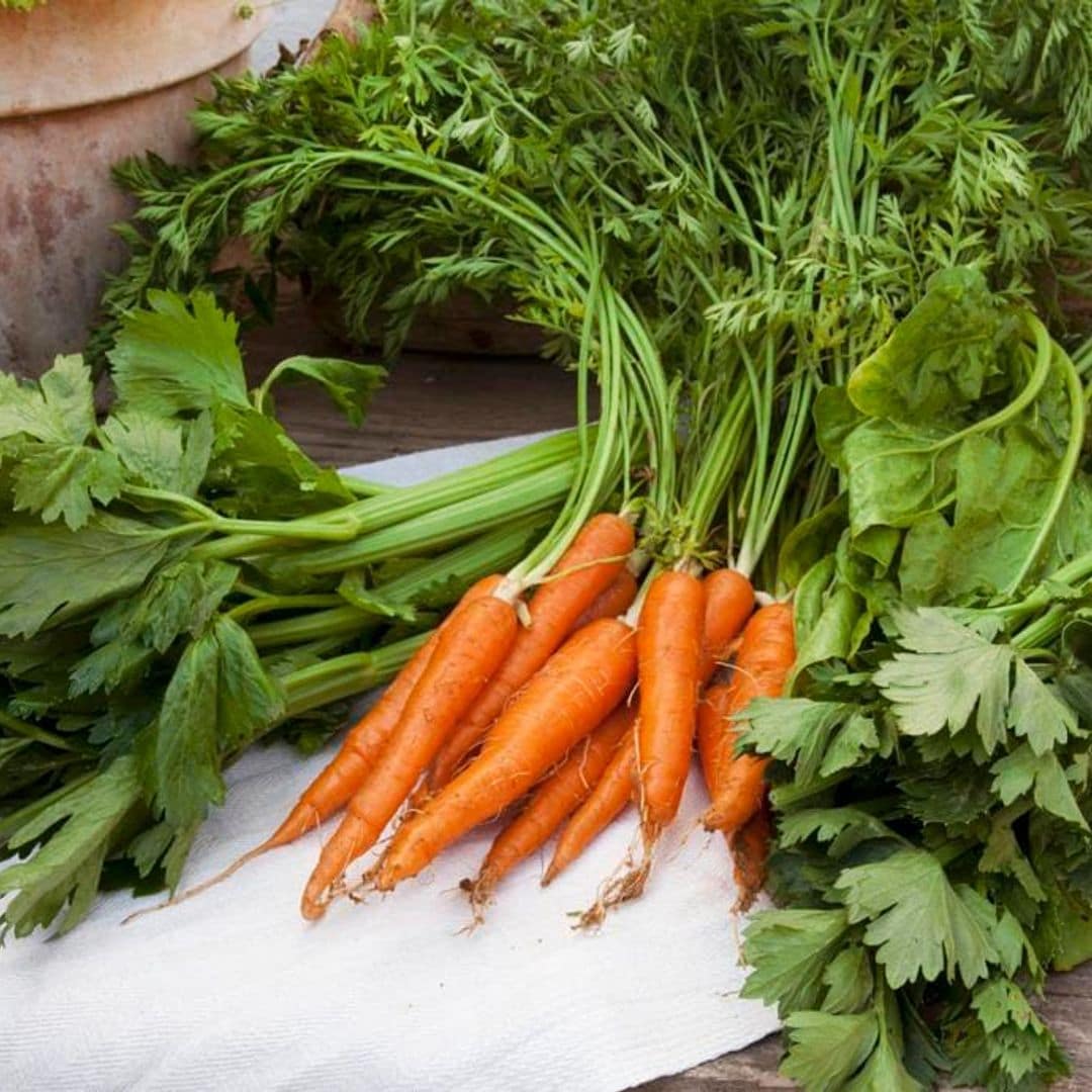 This is how you make vegetable bouillon cubes - a great alternative to chicken bouillon