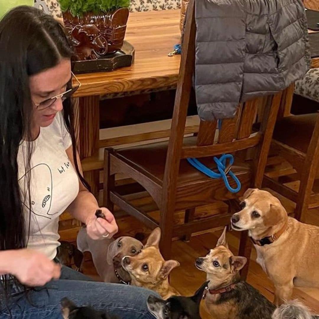 Demi Moore is living with a pack of 9 dogs