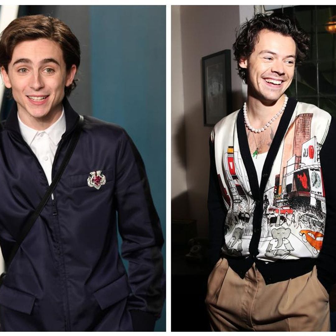 Timothée Chalamet impersonates Harry Styles in hilarious sketch