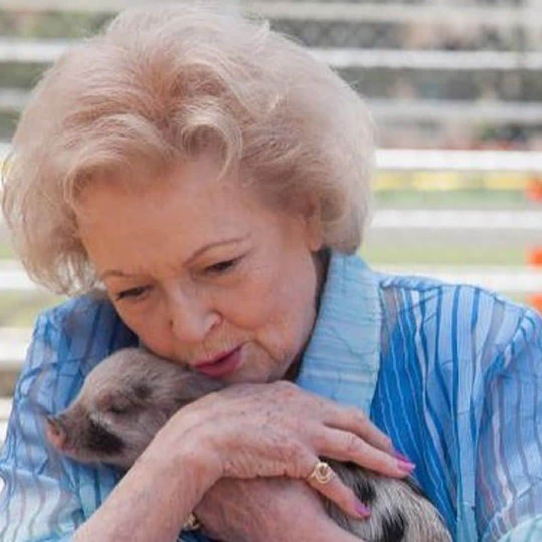 Betty White helped relocate penguins and sea otters during Hurricane Katrina