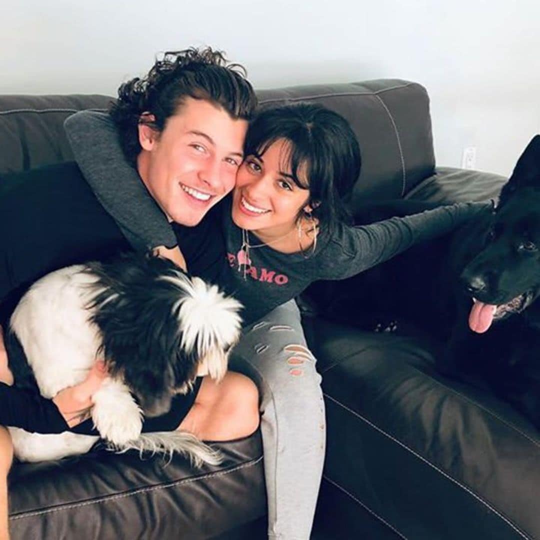 Camila Cabello shares precious photo of Shawn Mendes sleeping with their pup