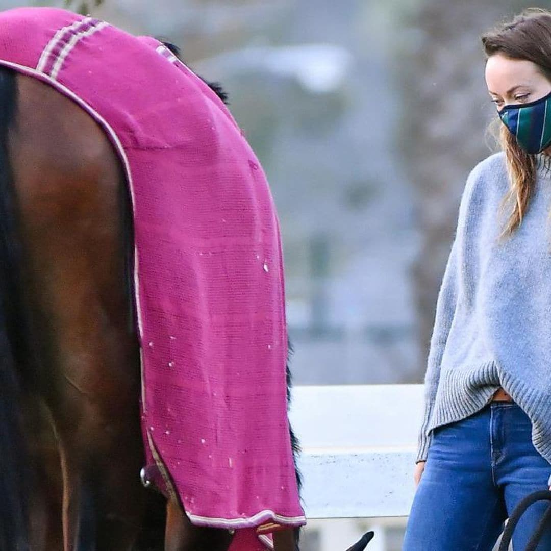 Olivia Wilde steps out to visit her horses following split from Jason Sudeikis