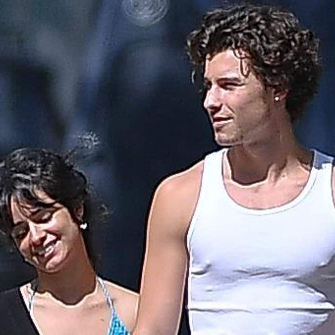 Camila Cabello and Shawn Mendes take a slow motion stroll and the internet has concerns