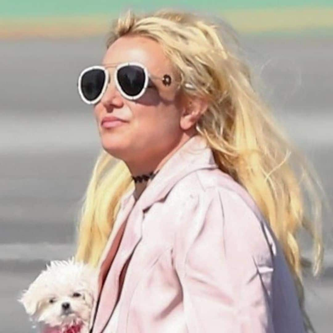 Britney Spears was recently pulled over and issued two violations