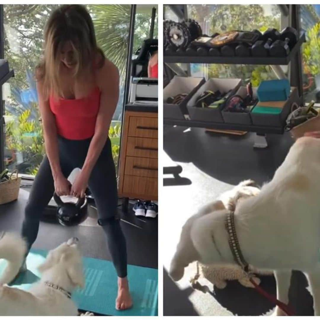 Watch Jennifer Aniston’s dogs adorably interrupt her workout