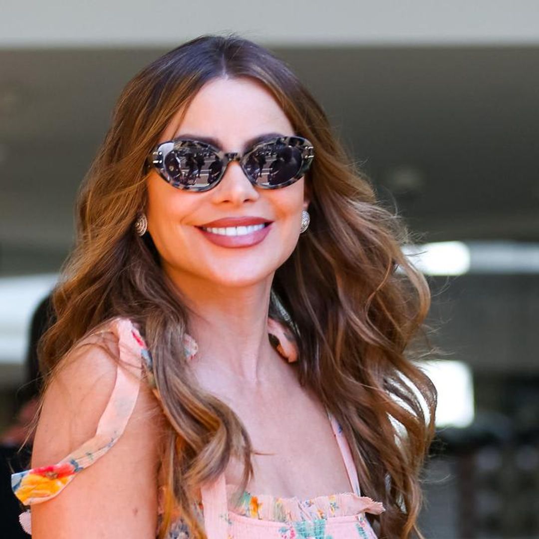 Sofia Vergara falls inside her private plane after her seat breaks