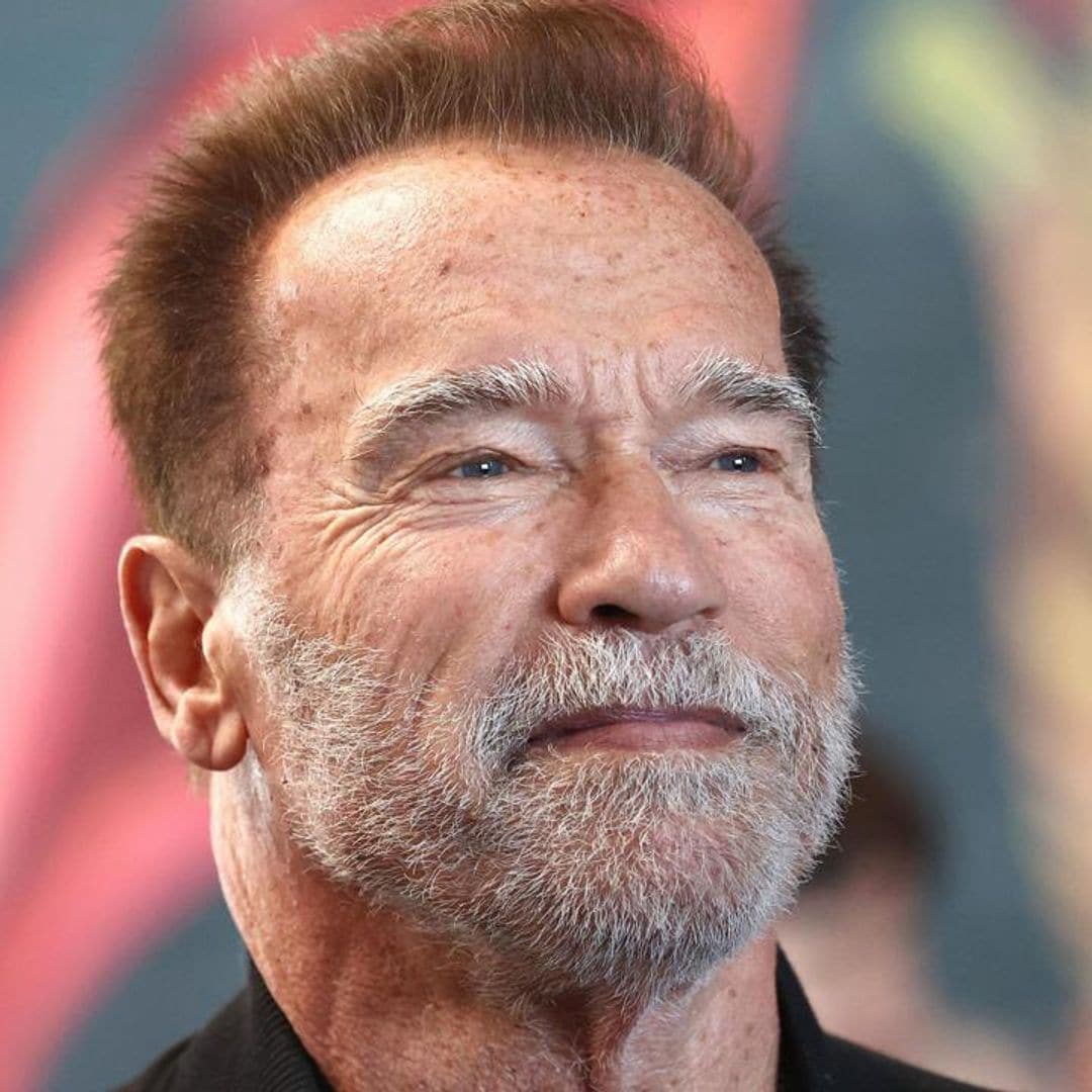 Arnold Schwarzenegger did not fly a private jet to his Austrian World Summit climate conference