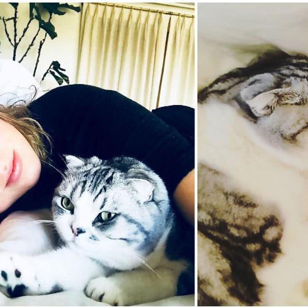 Taylor Swift is madly in love with Meredith, Olivia, and Benjamin