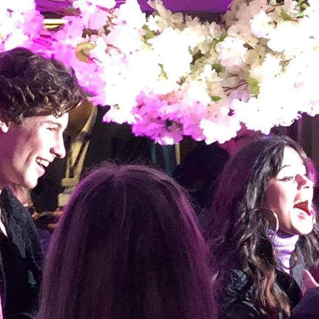 See Camila Cabello’s photo with Prince Charming Shawn Mendes at her Cinderella themed birthday party