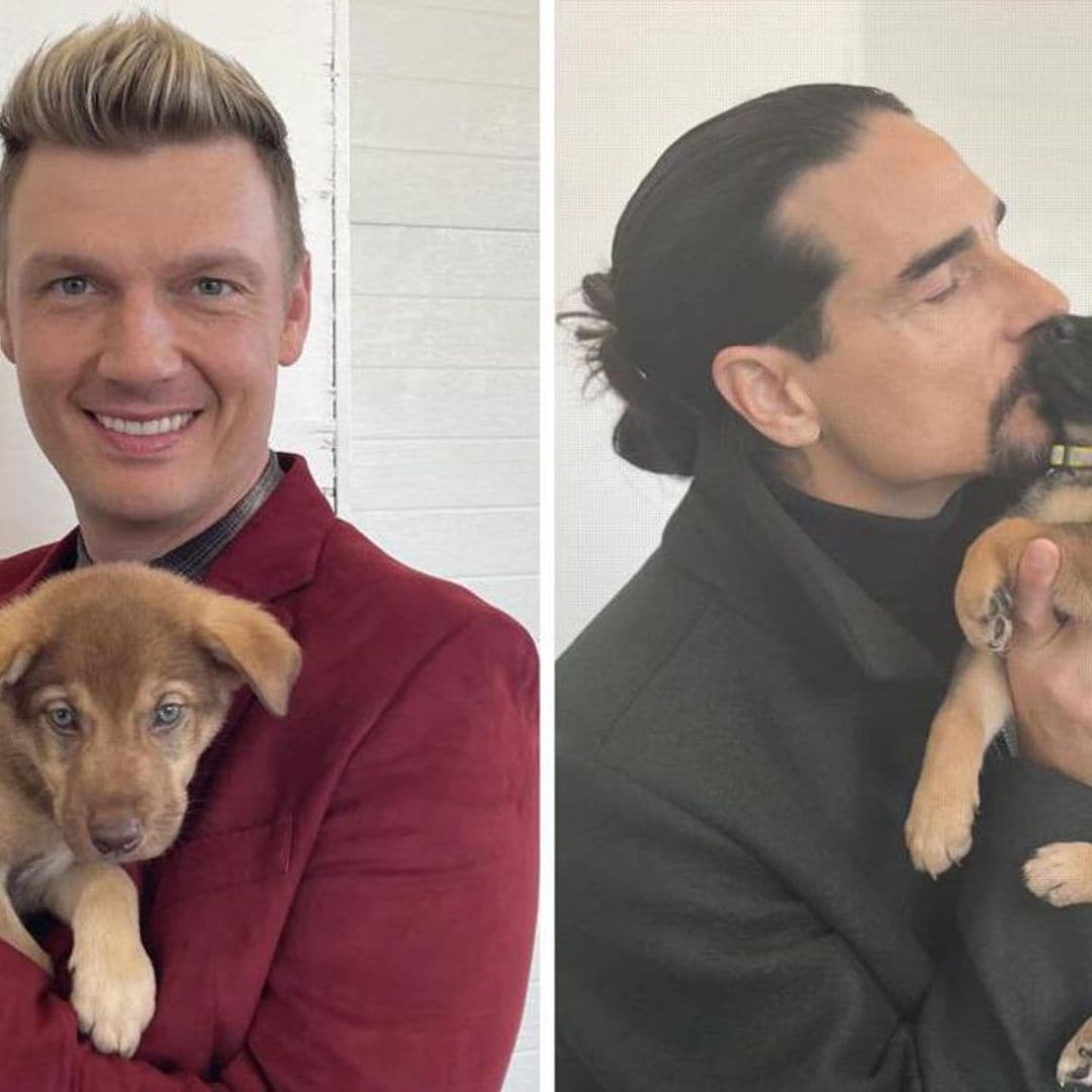 The Backstreet Boys are helping a litter of Nashville puppies get adopted