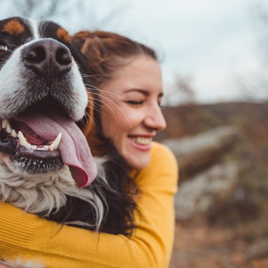 Can pets help improve our mood and personality?