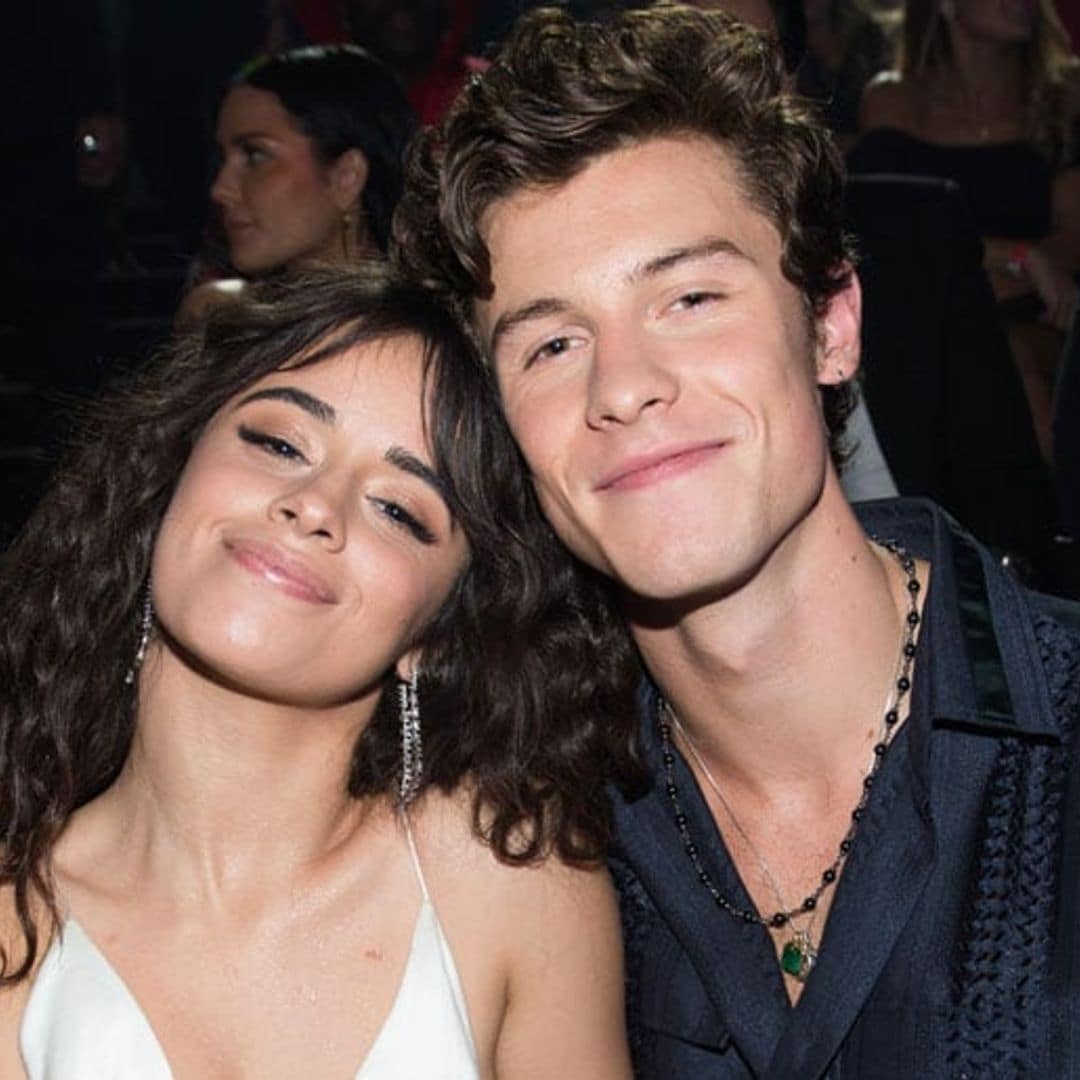 Camila Cabello talks falling for Shawn Mendes 'like nobody's watching'