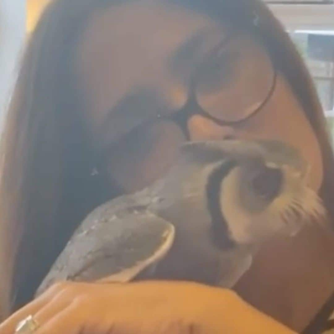 Salma Hayek reveals charming story of rescuing her pet owl