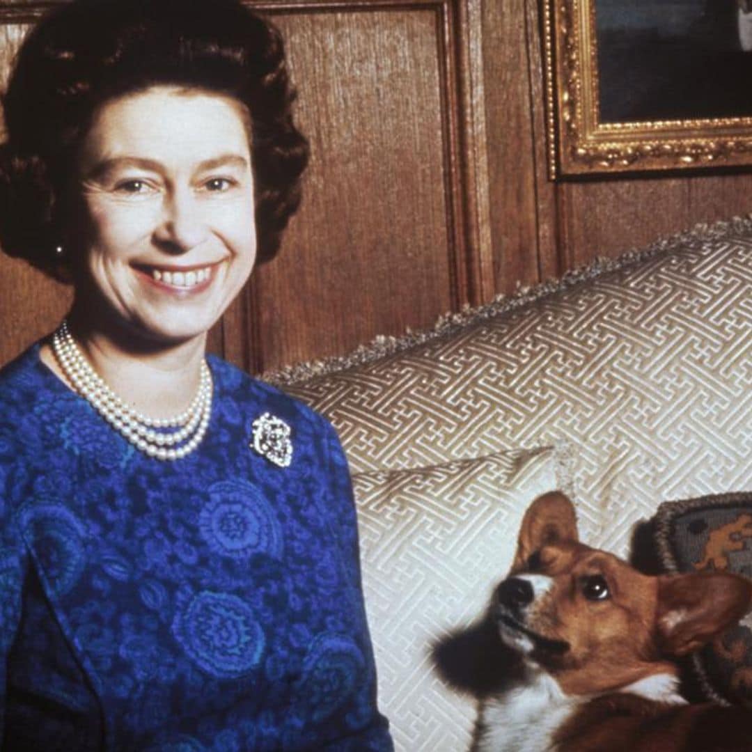 Royal game: Can you find Queen Elizabeth's corgi in these Christmas scenes?