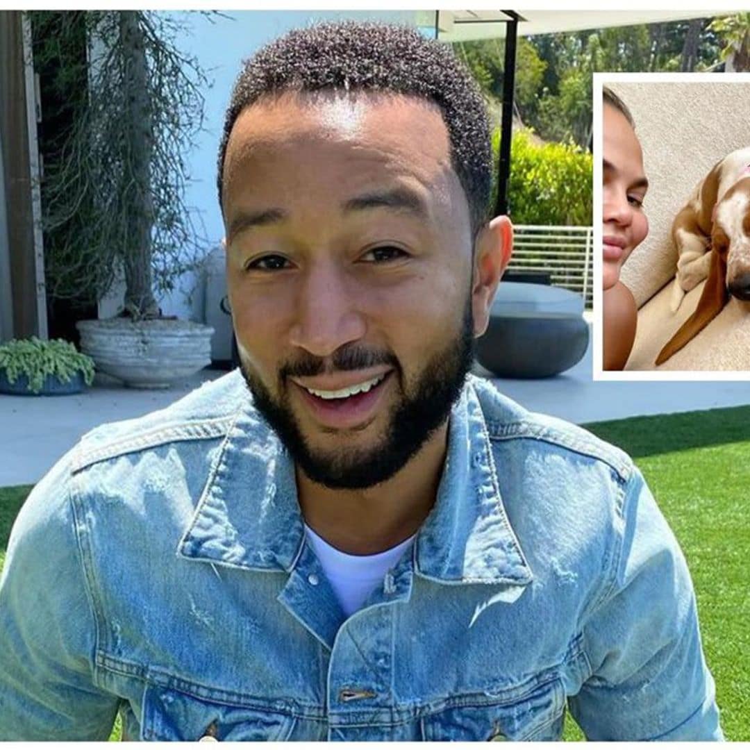 Chrissy Teigen and John Legend welcome Pearl the Basset Hound to their household