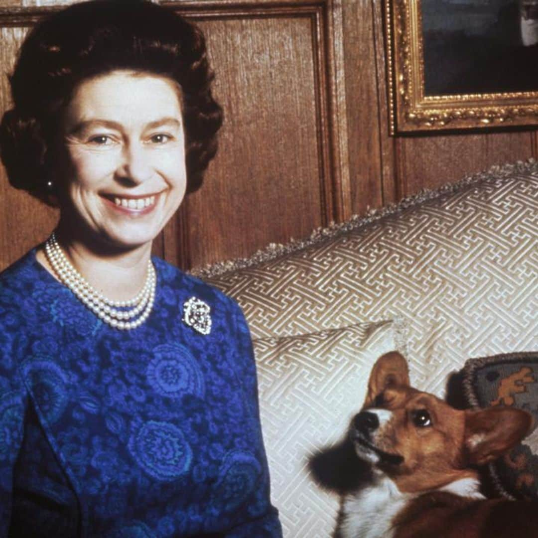 Queen Elizabeth’s corgis have a new home: Find out who is taking the royal dogs