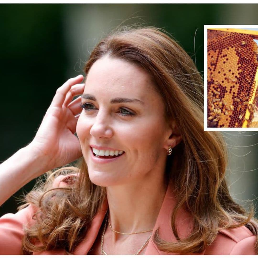 Kate Middleton has her own beehive just like her little brother James