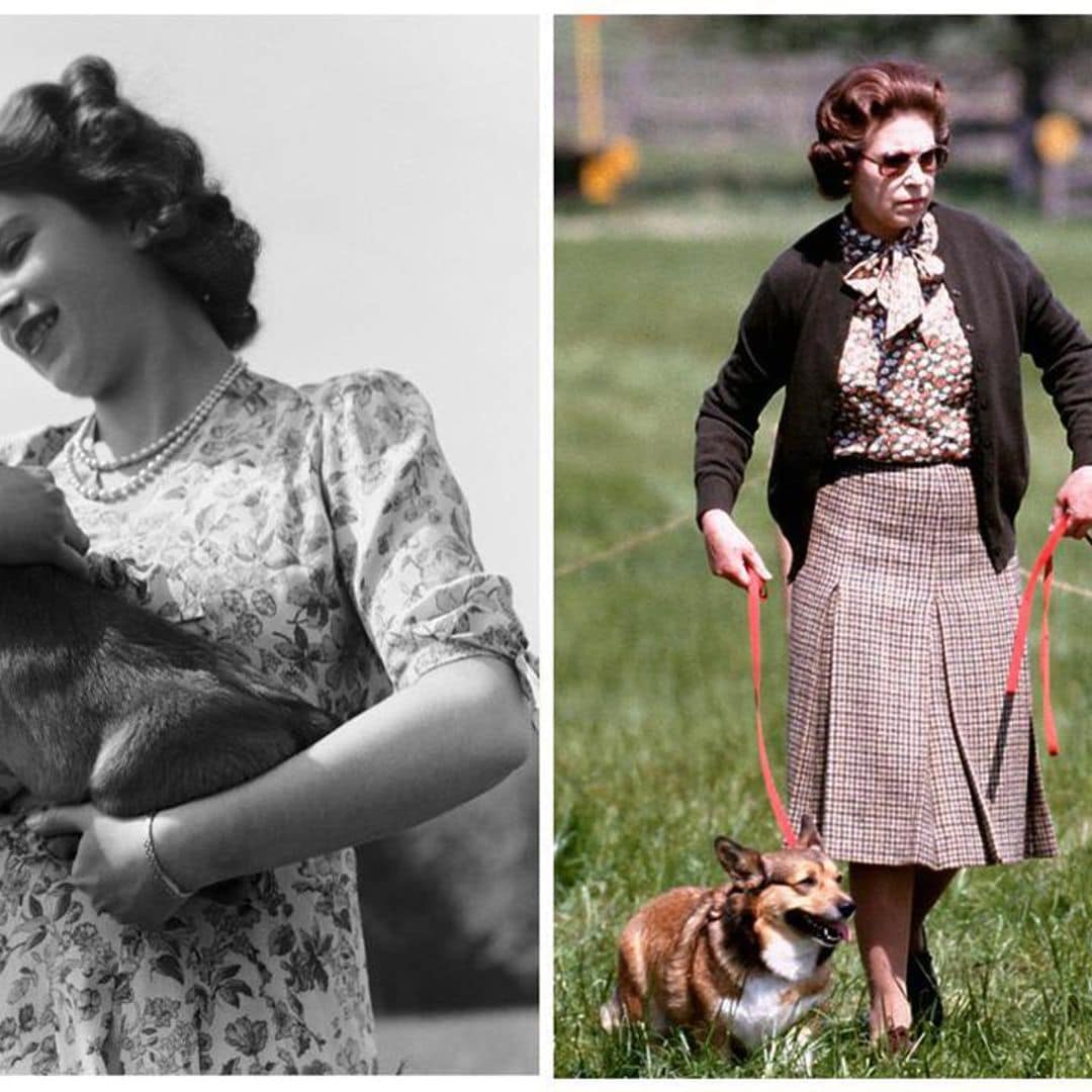 Queen Elizabeth used to write letters pretending they were from her corgis