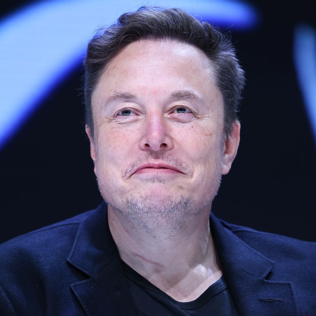 Elon Musk privately welcomes his 12th child