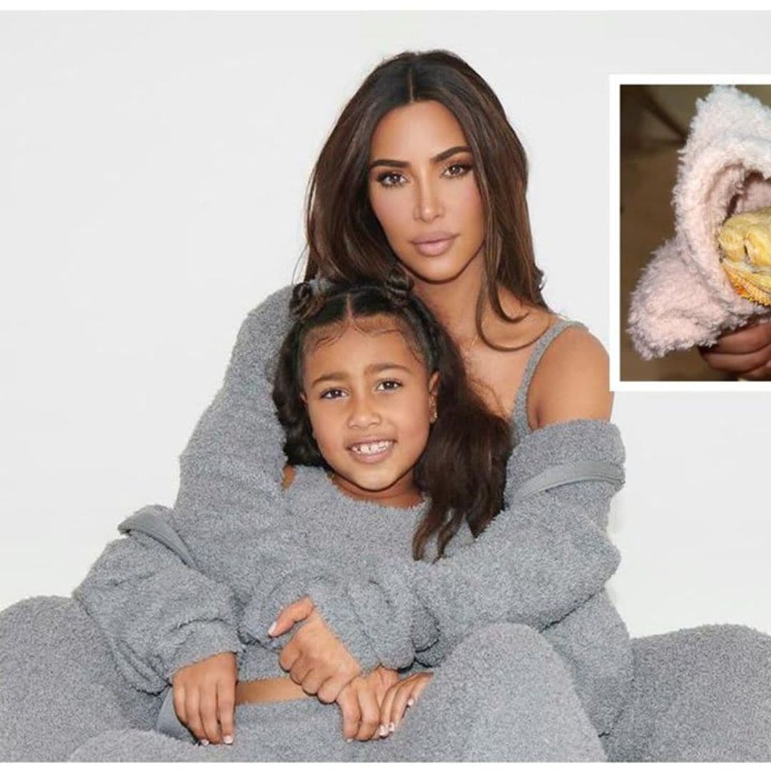 North West’s bearded dragon named Speed has tiny sets of Kim Kardashian’s Skims