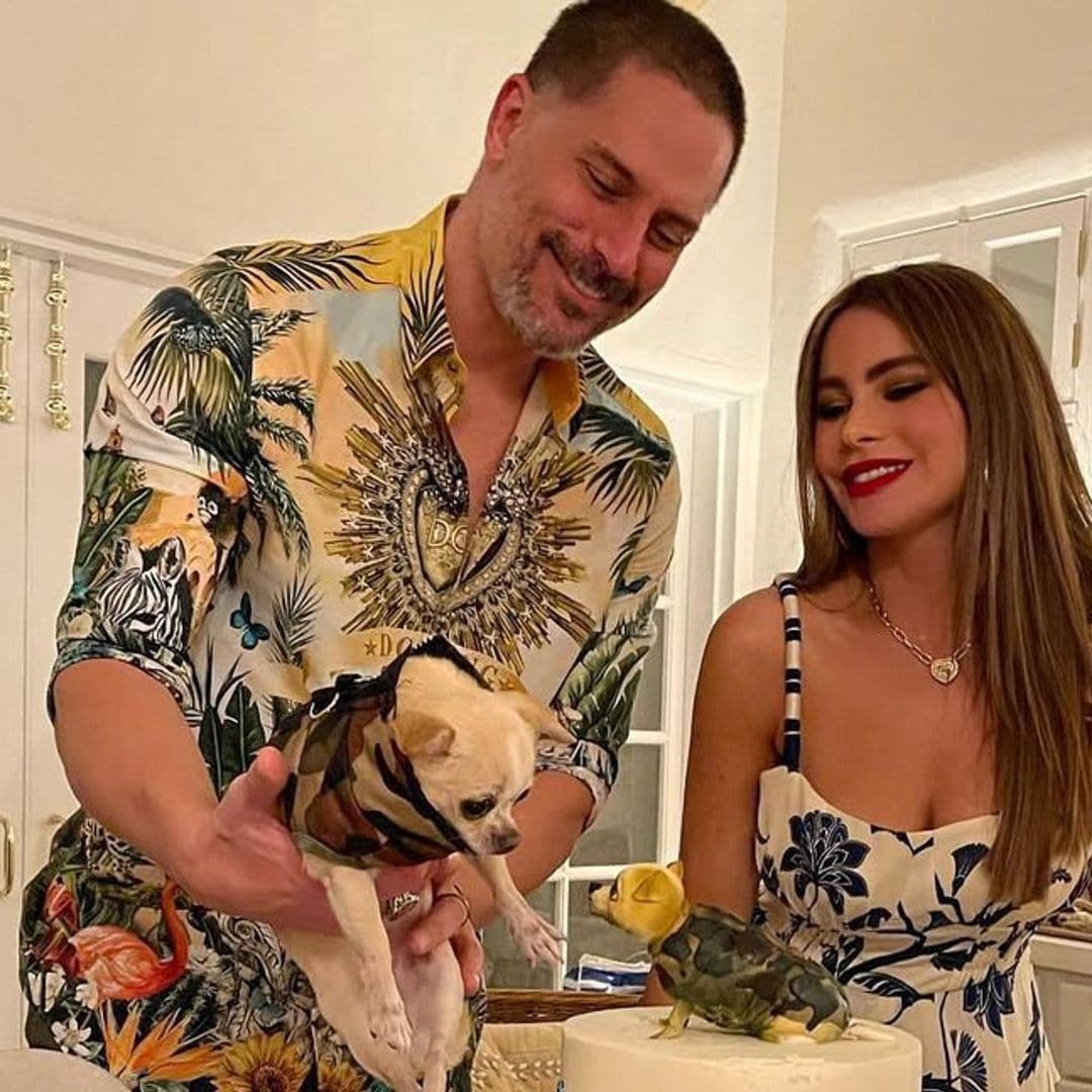 Sofia Vergara celebrates Joe Manganiello’s birthday with some help from their dog Bubbles