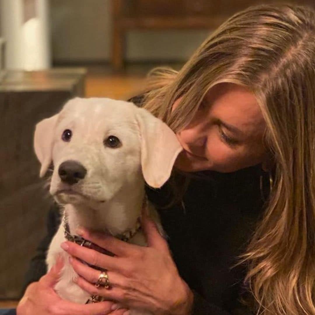 Jennifer Aniston is the ultimate dog mom to new rescue pup: See the photos!