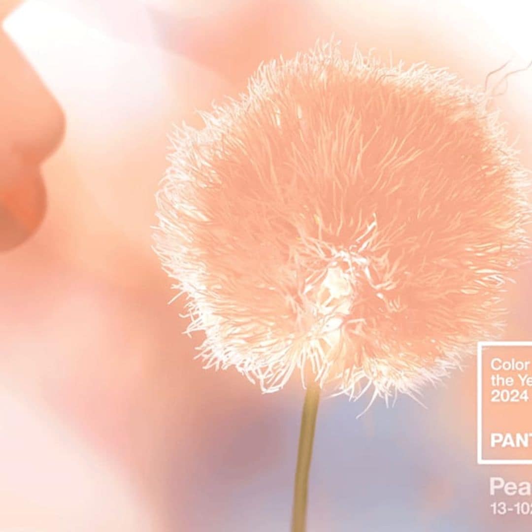 Pantone names Peach Fuzz as the color of 2024: What does this tone mean?