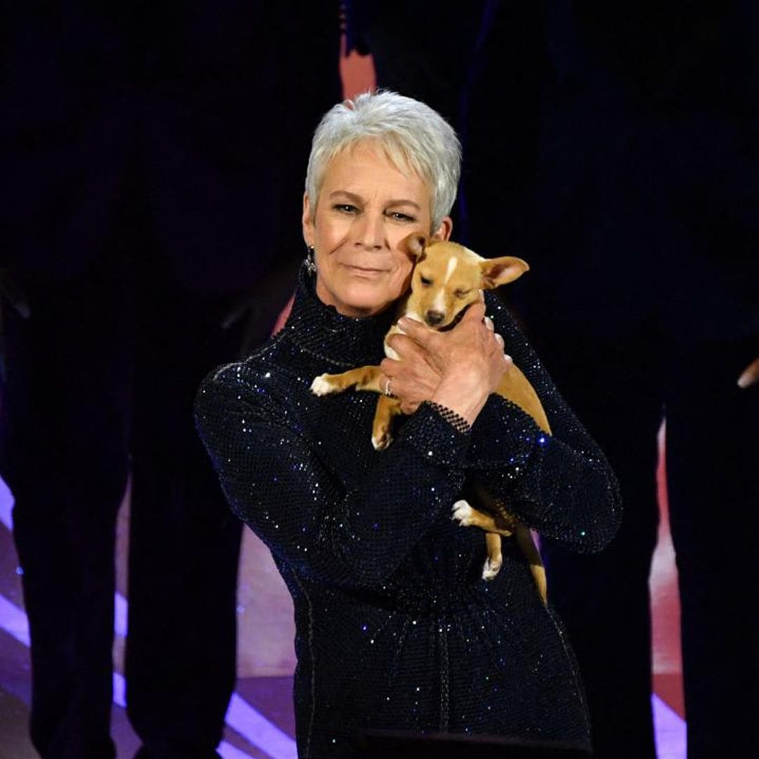 John Travolta adopted the puppy Jamie Lee Curtis presented at the Oscars