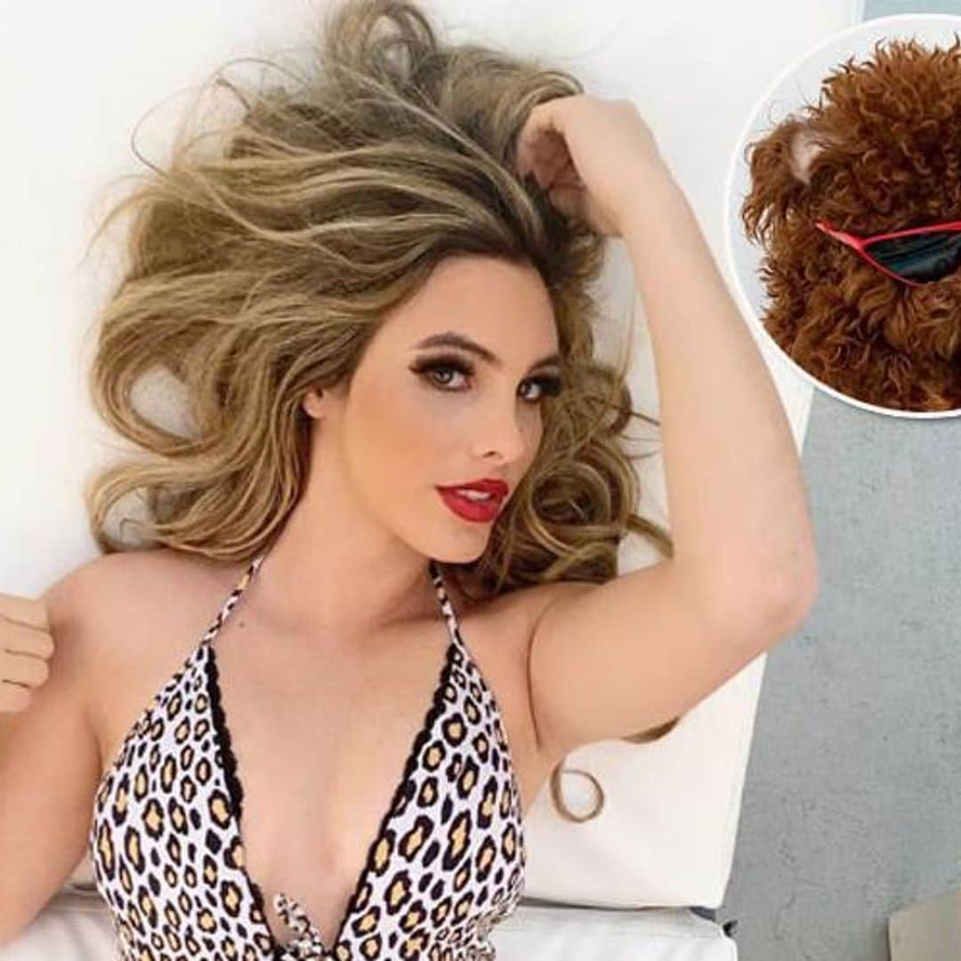 Lele Pons' swimsuit pic hilariously photobombed by adorable pet dog Toby