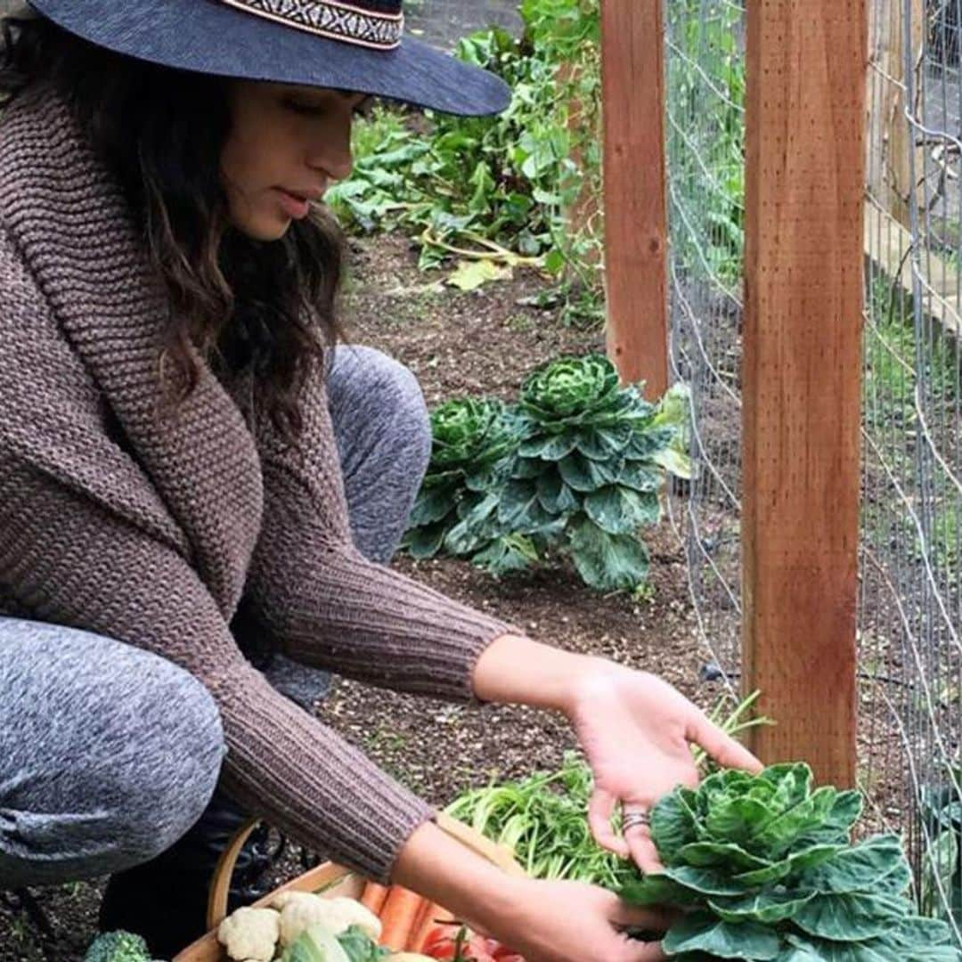 Camila Alves McConaughey reveals an easy and simple way to grow vegetable from kitchen scraps