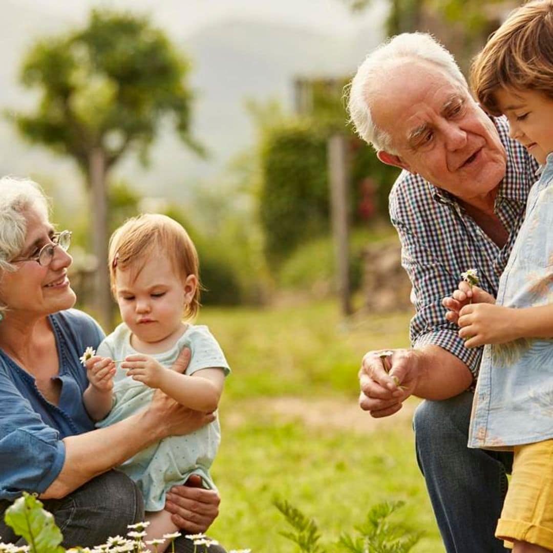 Kids prefer advice from their grandparents over their own parents