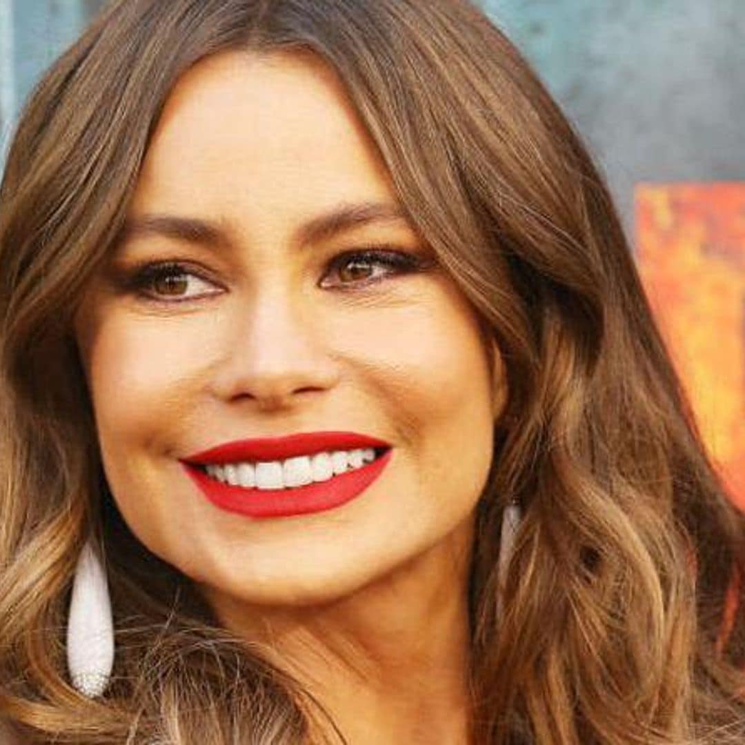 How Sofia Vergara became one of the highest-earning women in entertainment